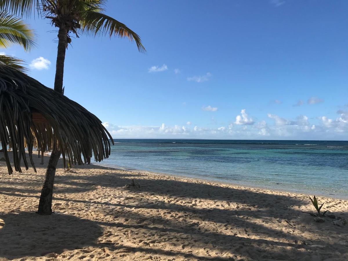 Brin D'Ile Anse Des Rochers Vue Mer A 50 M De La Plage Et Piscine Saint-Francois  Luaran gambar