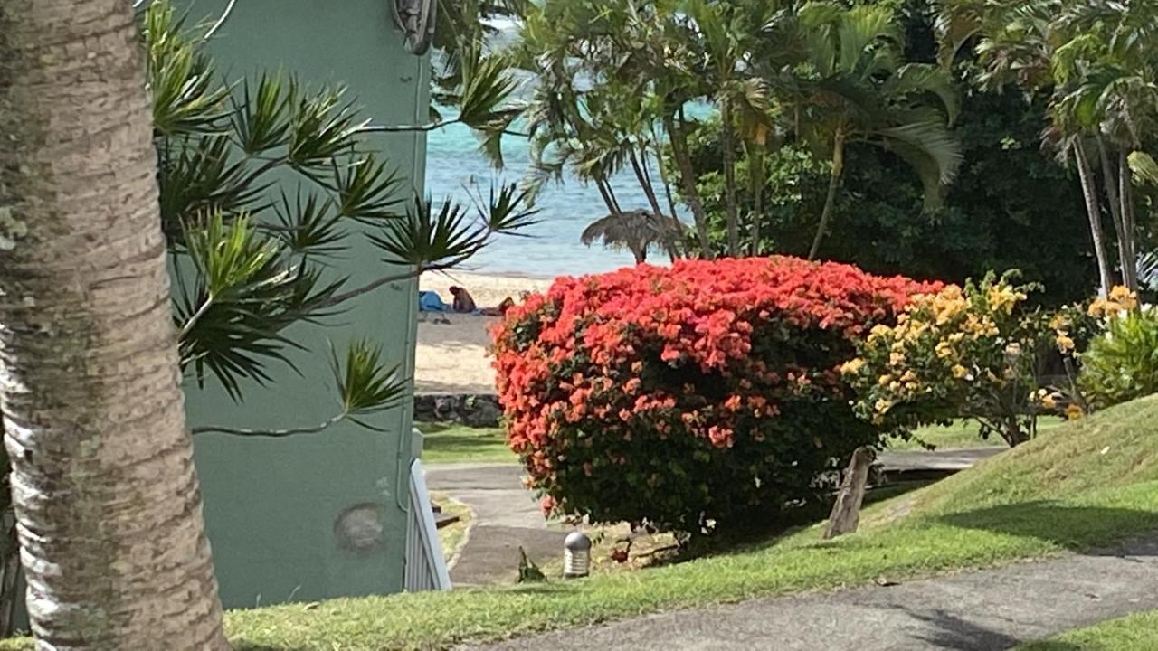 Brin D'Ile Anse Des Rochers Vue Mer A 50 M De La Plage Et Piscine Saint-Francois  Luaran gambar