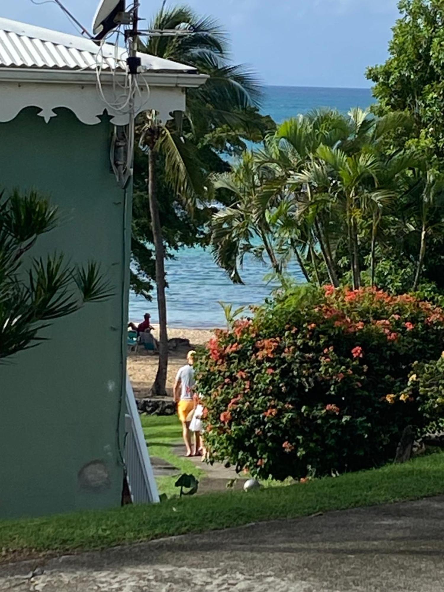 Brin D'Ile Anse Des Rochers Vue Mer A 50 M De La Plage Et Piscine Saint-Francois  Luaran gambar