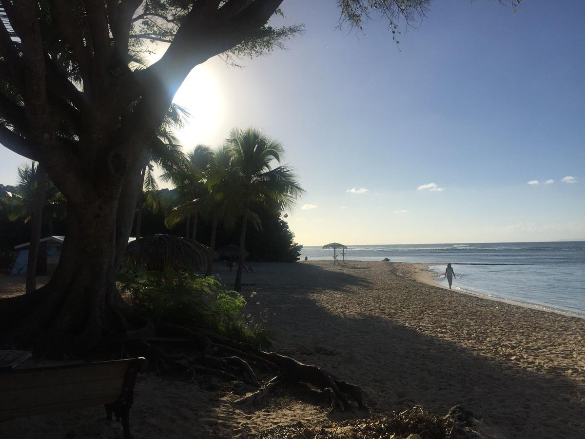 Brin D'Ile Anse Des Rochers Vue Mer A 50 M De La Plage Et Piscine Saint-Francois  Luaran gambar